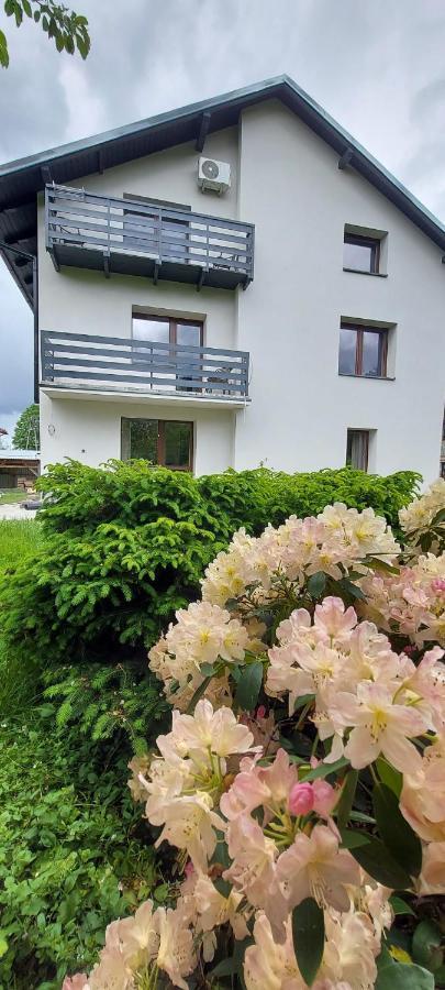 Apartamenty Montania Wisła Eksteriør bilde