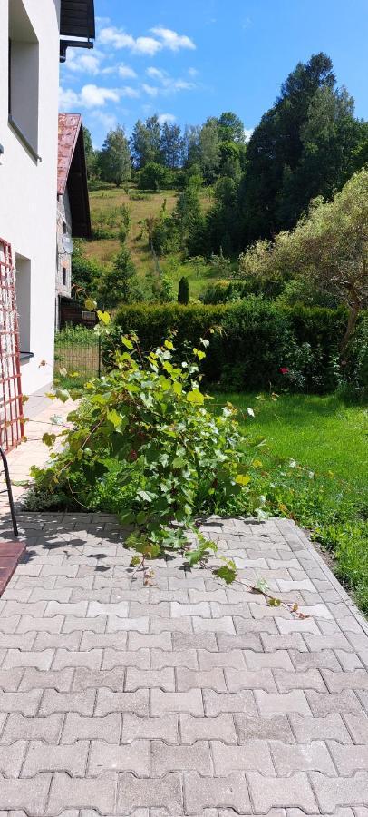 Apartamenty Montania Wisła Eksteriør bilde